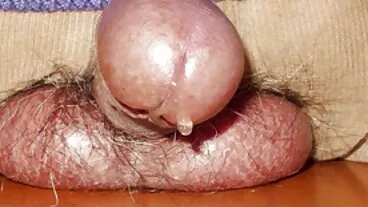 ફ્રેડી સેકસી મુવી ગોંગ ડોંગની સેવા કરે છે